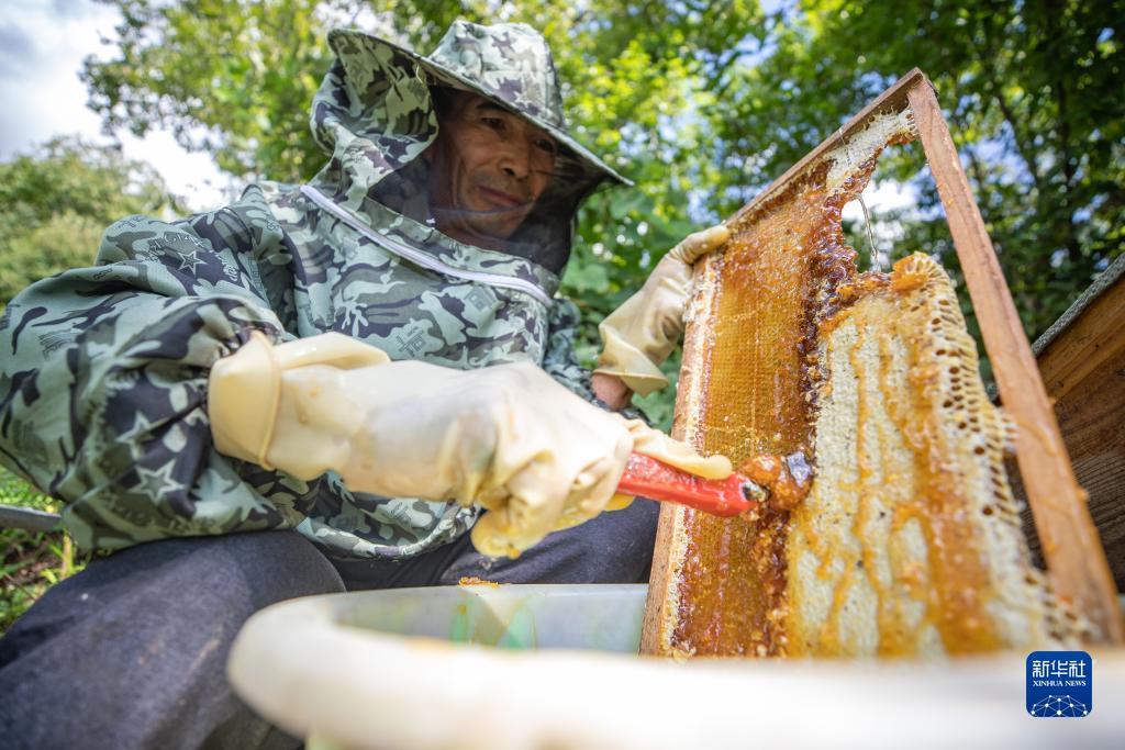 仙豆棋牌网